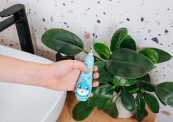 Szczoteczka soniczna niebieska ZK3020 CONCEPT. Szczoteczki soniczne Concept. Za 108.99 zł.