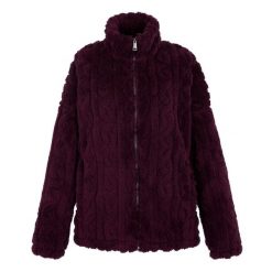 Bluza Polarowa Damska Pełen Suwak Alaiya. Fioletowe bluzy Regatta, na zimę, bez wzorów, z polaru, bez kaptura. Za 138.99 zł.