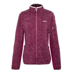 Damska Bluza Polarowa Ralina. Szare bluzy Regatta, na zimę, bez wzorów, z polaru, bez kaptura. Za 100.99 zł.