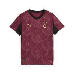 Młodzieżowa trzecia koszulka Galatasaray SK 25/26 PUMA. Brązowa bluzki Puma, m, bez wzorów, młodzieżowe, bez kołnierzyka, bez ramiączek. Za 349.00 zł.