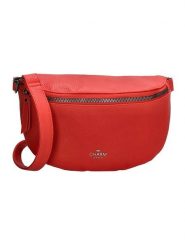 Charm Saszetka w kolorze czerwonym - 23,5 x 15 x 6,5 cm rozmiar: onesize. Czerwone torby na ramię Charm, bez wzorów, z materiału, sportowe, przez ramię, bez dodatków. Za 43.99 zł.