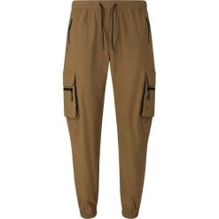 Damskie spodnie dresowe Whistler Portus. Brązowe spodnie dresowe Whistler, bez wzorów, z dresówki. Za 276.50 zł.
