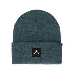 Czapka Whistler Linjoe. Niebieskie czapki Whistler, bez wzorów. Za 110.00 zł.