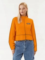 BLUZA DAMSKA ELLESSE BOXY OVERSIZE ZE STÓJKĄ POMARAŃCZOWA KOLOR POMARAŃCZOWY. Brązowe bluzy Ellesse, l, bez wzorów, z bawełny, bez kaptura. Za 139.00 zł.