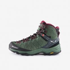 Buty trekkingowe damskie Salewa Alp Trainer Gtx. Brązowe trekkingi Salewa, z gore-texu, trekkingowe. Za 949.99 zł.