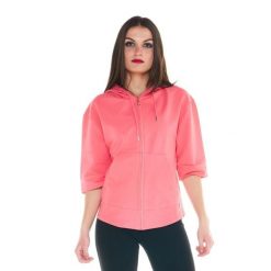 Bluza ciepła z bawełna z kaptur na co dzień. Brązowe bluzy LEONE 1947 APPAREL, bez wzorów, z bawełny, bez kaptura. W wyprzedaży za 134.57 zł.