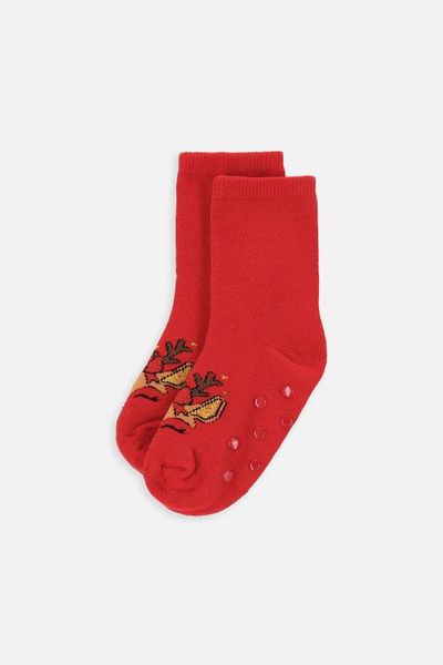 Skarpetki Xmas. Skarpety COCCODRILLO, bez wzorów. W wyprzedaży za 1.00 zł.