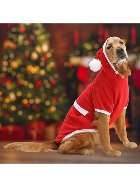 Paws&Whiskers Bluza w kolorze czerwonym dla psa rozmiar: 9XL. Czerwone bluzy Paws&Whiskers, xl, bez wzorów, bez kaptura. Za 182.29 zł.