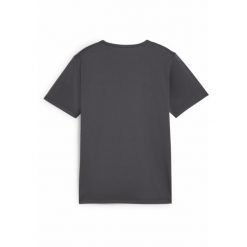 Młodzieżowa koszulka z grafiką individualFINAL PUMA Asphalt Gray. Szara bluzki Puma, m, bez wzorów, młodzieżowe, bez kołnierzyka, bez ramiączek. Za 99.00 zł.