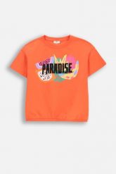 T-shirt z krótkim rękawem. Czerwone t-shirty COCCODRILLO, z aplikacjami, z bawełny, bez kołnierzyka, bez ramiączek. W wyprzedaży za 39.90 zł.