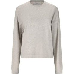 Bluza damska Athlecia Brenan. Szare bluzy Athlecia, l, bez wzorów, z materiału, bez kaptura. Za 133.50 zł.