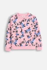 Bluza dresowa nierozpinana. Bluzy COCCODRILLO, bez wzorów, z dresówki, bez kaptura. Za 79.90 zł.