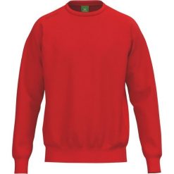 Bluza Erima Ts czerwona Junior. Czerwone bluzy Erima, na lato, bez wzorów, z bawełny, z kapturem. Za 281.99 zł.