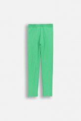 Legginsy prążkowane z długą nogawką. Zielone legginsy COCCODRILLO, s, bez wzorów, z gumy, długie. Za 39.90 zł.