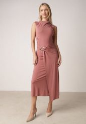 Różowa Wizytowa Sukienka Taliowana z Metaliczną Ozdobą Aroos. Czerwone sukienki Born2be, na co dzień, m, z aplikacjami, eleganckie, bez kołnierzyka, bez ramiączek, proste. Za 149.99 zł.