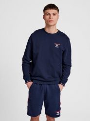Bluza Hummel IC Dayton. Niebieskie bluzy Hummel, na wiosnę, xs, bez wzorów, z bawełny, bez kaptura. Za 286.00 zł.