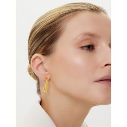 Kolczyki Elisabetta Franchi. Żółte kolczyki Elisabetta Franchi, złote. Za 649.99 zł.