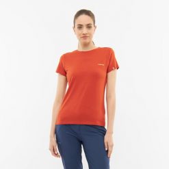 T-shirt damski Viking Bamboo Harvi Lady. Brązowe t-shirty Viking, s, bez wzorów, bez kołnierzyka, bez ramiączek. W wyprzedaży za 71.45 zł.