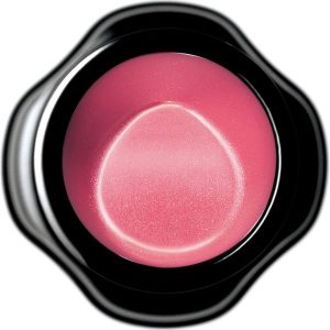 SHISEIDO SHISEIDO_Perfect Rouge pomadka do ust PK307 4g. Pomadki Shiseido. Za 109.00 zł.