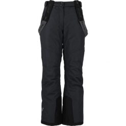 Spodnie narciarskie damskie Whistler Fairway W-PRO 10000. Czarne spodnie narciarskie Whistler, s, bez wzorów, z materiału, narciarskie. Za 224.99 zł.