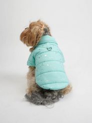 Paws&Whiskers Bluza w kolorze turkusowym dla psa rozmiar: XXL. Niebieskie bluzy Paws&Whiskers, xxl, bez wzorów, bez kaptura. Za 86.99 zł.