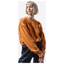 Nike Bluza W Nsw Crew Ft Rebel , brązowy, rozmiar XS. Brązowe bluzy Nike, s, bez wzorów, z bawełny, bez kaptura. Za 239.99 zł.