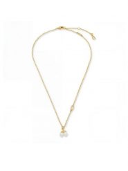 Coach Naszyjnik 37571284 Złoty. Żółte naszyjniki Coach, metalowe. Za 399.99 zł.